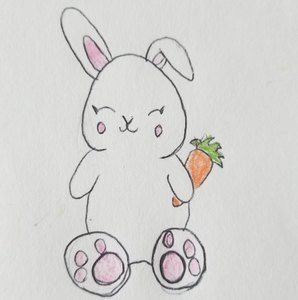 Meet your Posher, Dawna